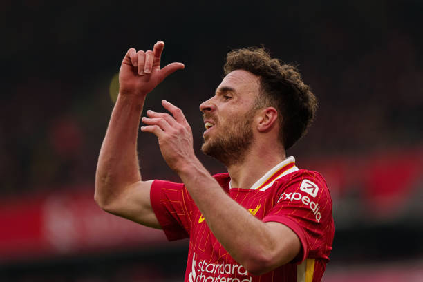 供了更广阔 供了更广阔