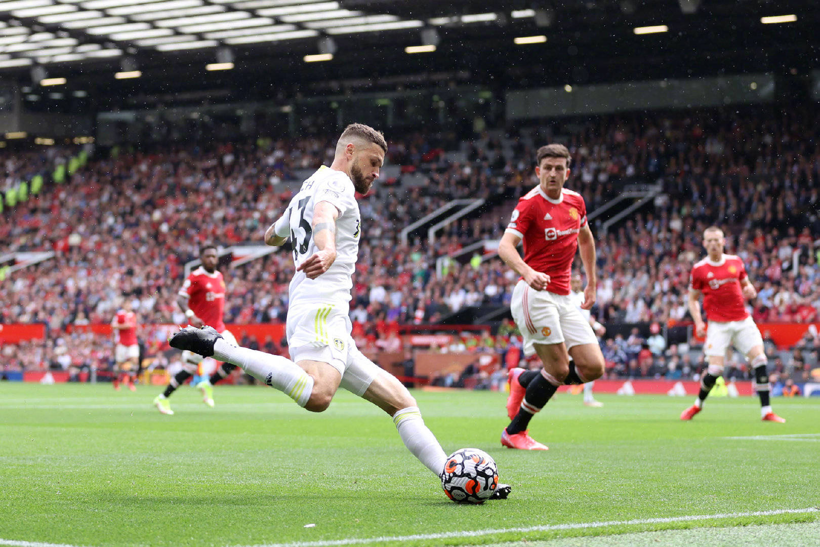 这种不懈的 这种不懈的