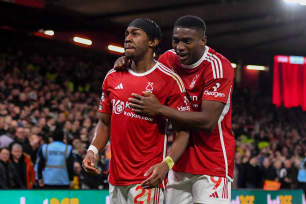 次见识到了 次见识到了